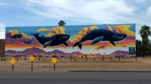 whales in the sky mural Tucson Arizona