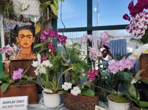 Orchid Show Frida Kahlo display Tucson 2024