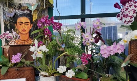 Orchid Show Frida Kahlo display Tucson 2024