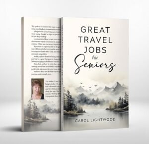 Great travel jobs for seniors 3 D ccover paperback