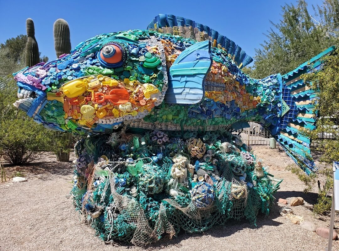 Priscilla the Parrotfish at Tucson Botanical Garden