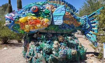 Priscilla the Parrotfish at Tucson Botanical Garden