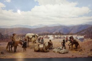 Diorama of U.S. soldiers using camels in 1856 Arizona historical society