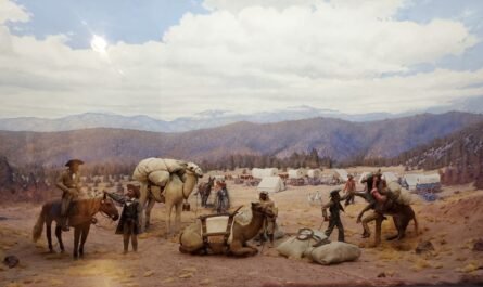 Diorama of U.S. soldiers using camels in 1856 Arizona historical society