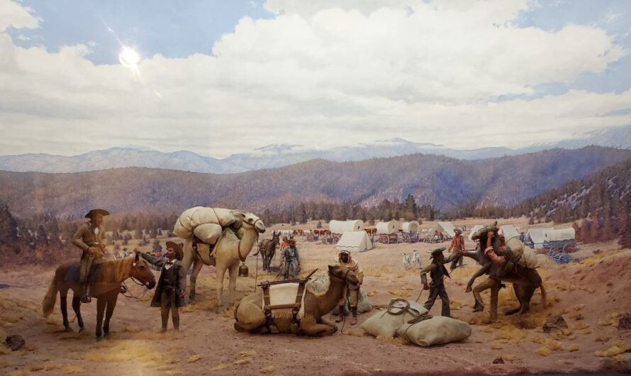 Rambling through Arizona history
