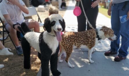 dogs painted to look like panda and cheetah