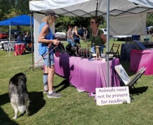 dog not present at reading