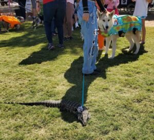 lizard at Dogtoberfest 2024