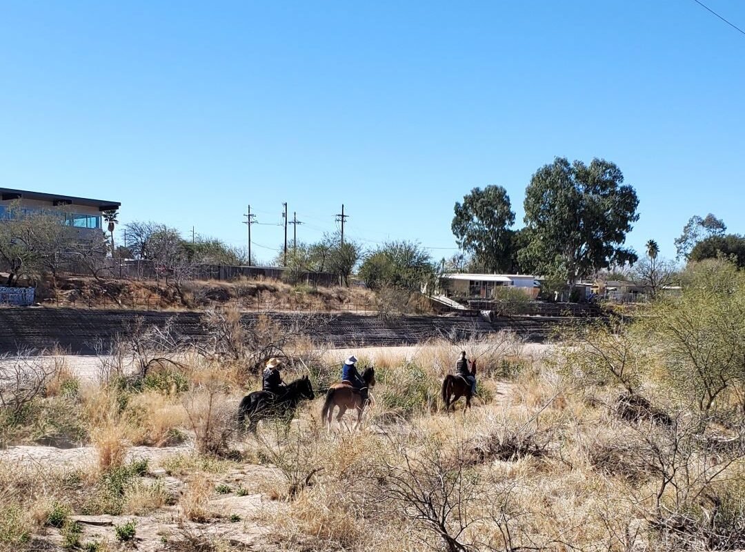 horses and riders in Tucson Rillito riverbed 2024