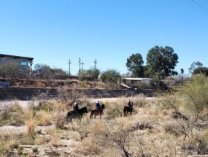 horses and riders in Tucson Rillito riverbed 2024