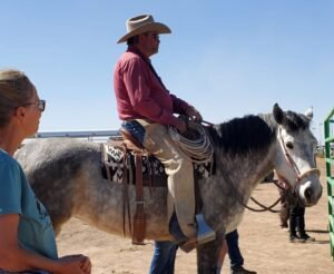 horse trainer from BLM