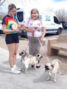 3 pugs and dog owner at dog adoption event Mar 2025 Tucson
