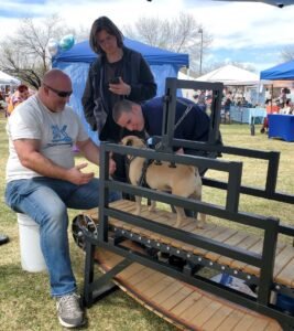 zoomie dog treadmill at dog adoption event Mar 2025