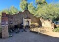 El Taradito Wishing Spot Tucson Arizona