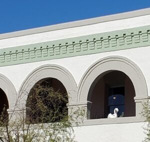 swan on balcony at Greenwood Hotel Armory park Tucson